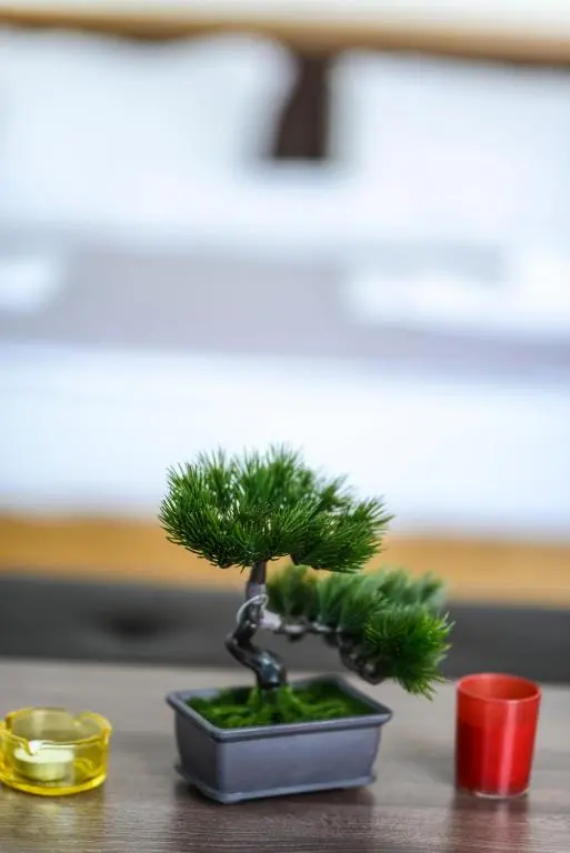 img_id_718393.webp