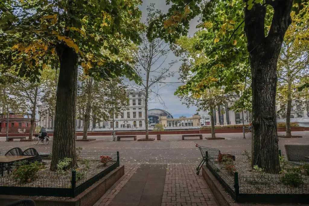 img_id_718544.webp