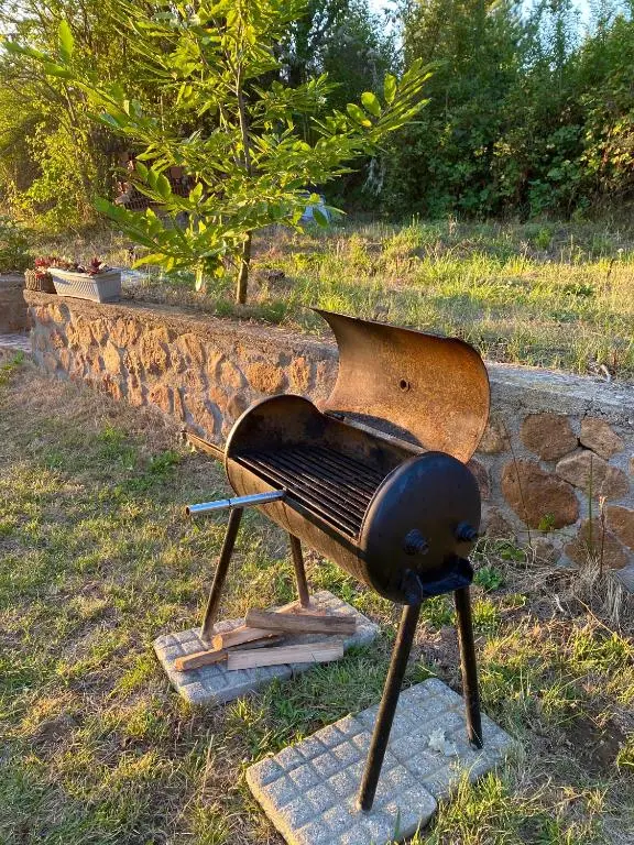 img_id_719330.webp