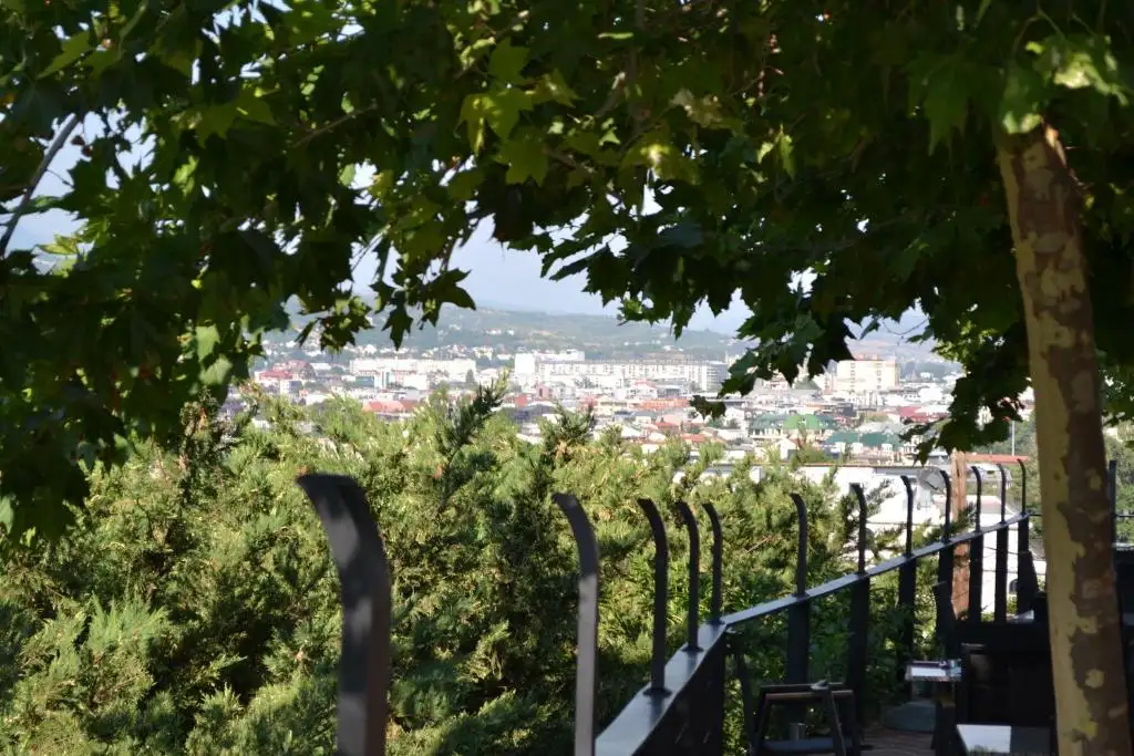 img_id_720473.webp