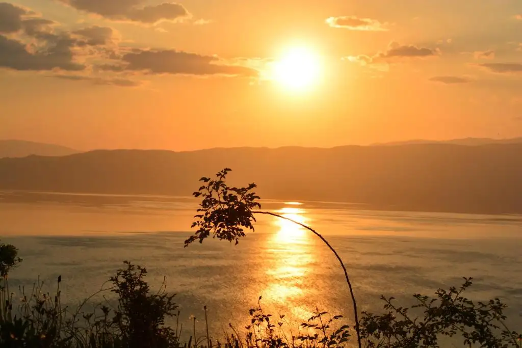 img_id_725002.webp