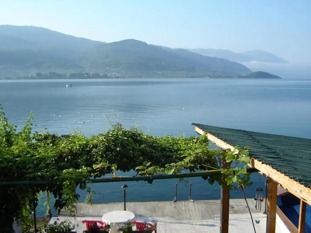 img_id_726004.webp