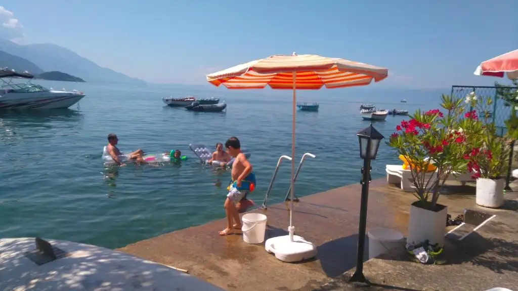 img_id_726035.webp
