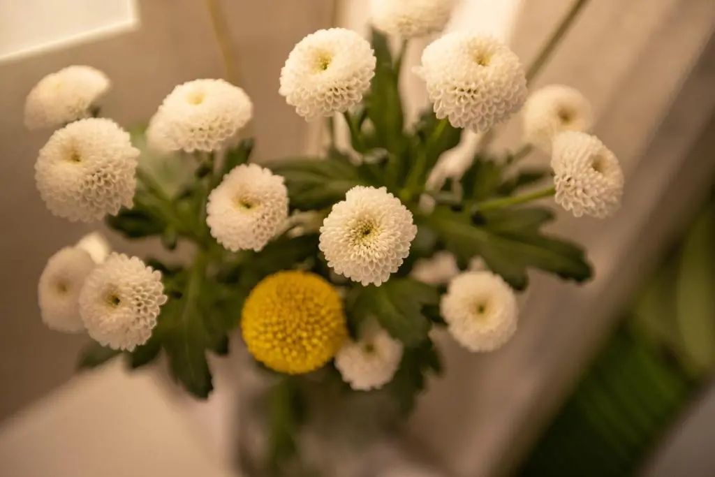 img_id_814754.webp
