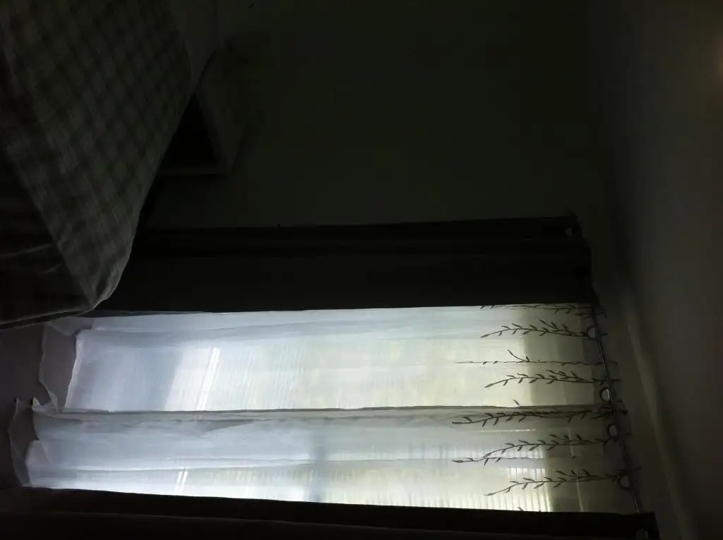 img_id_728072.webp