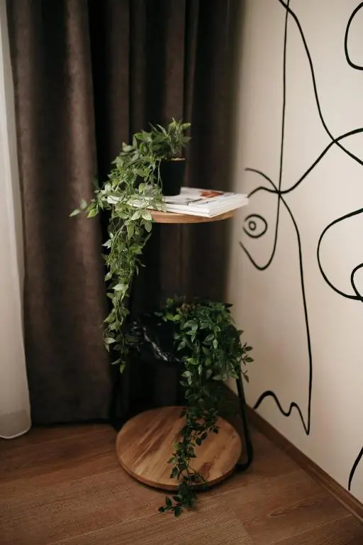img_id_728357.webp