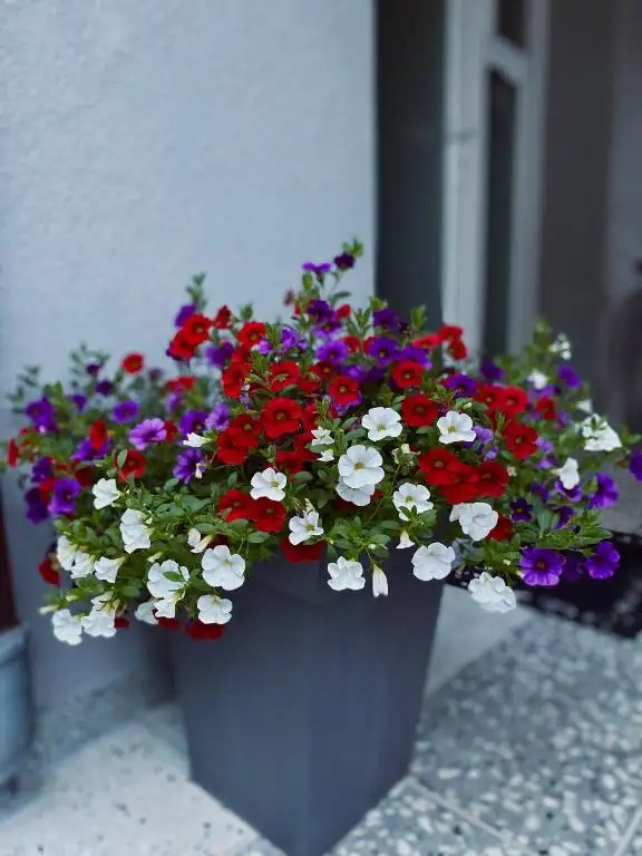 img_id_728998.webp