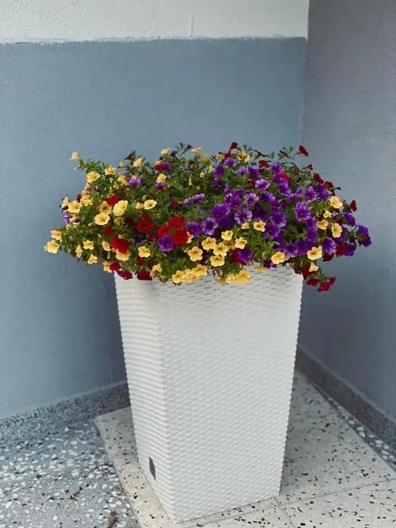 img_id_729003.webp