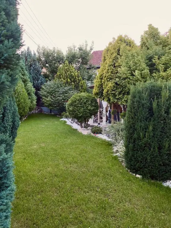 img_id_729028.webp
