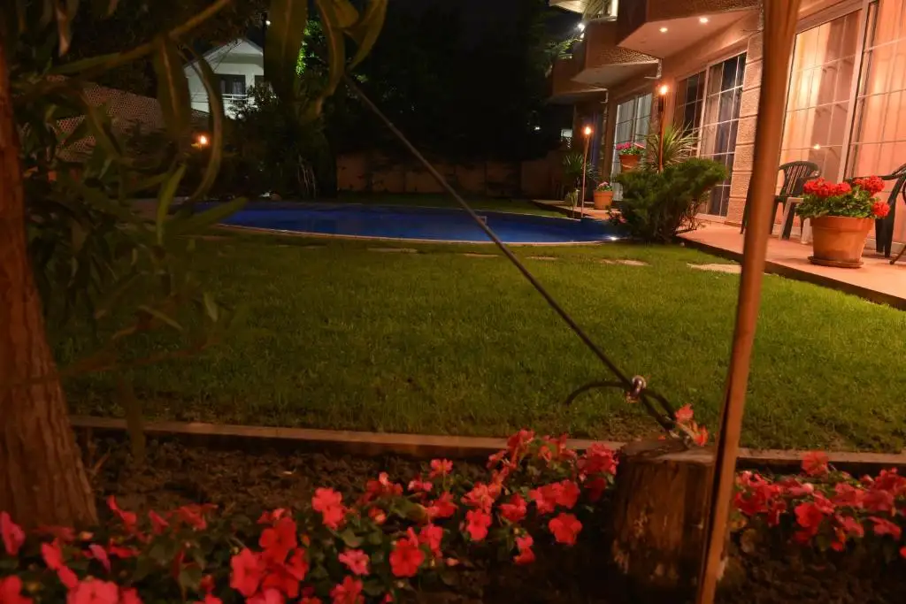 img_id_729104.webp