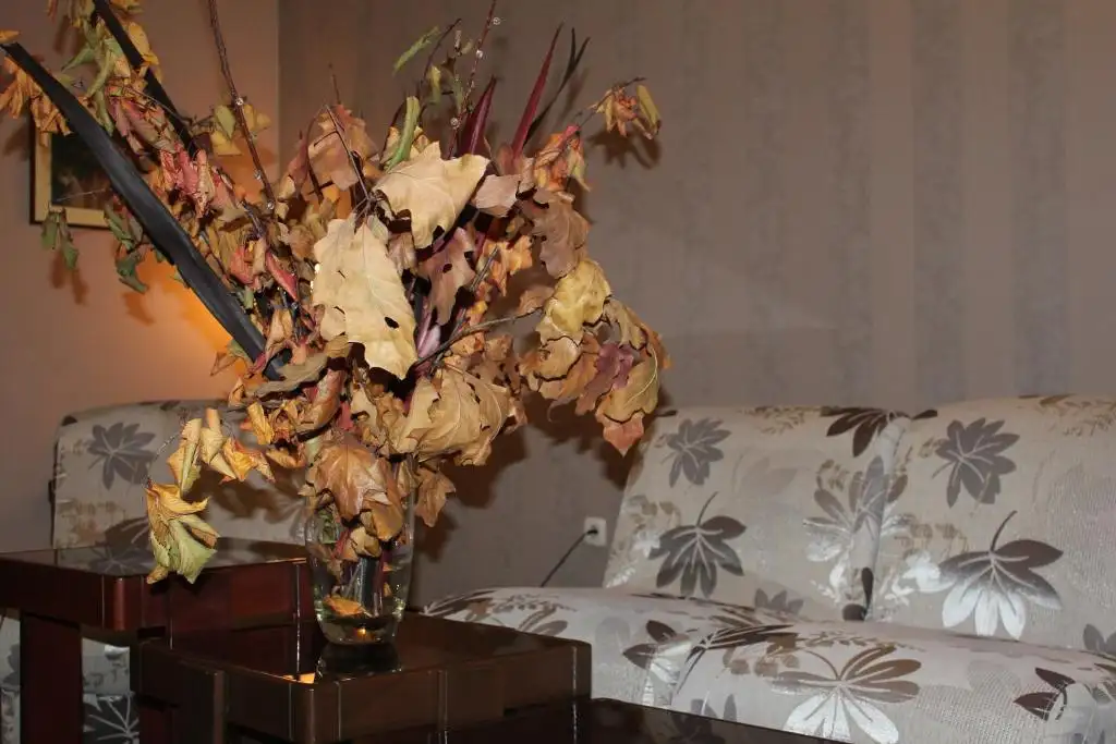 img_id_729801.webp