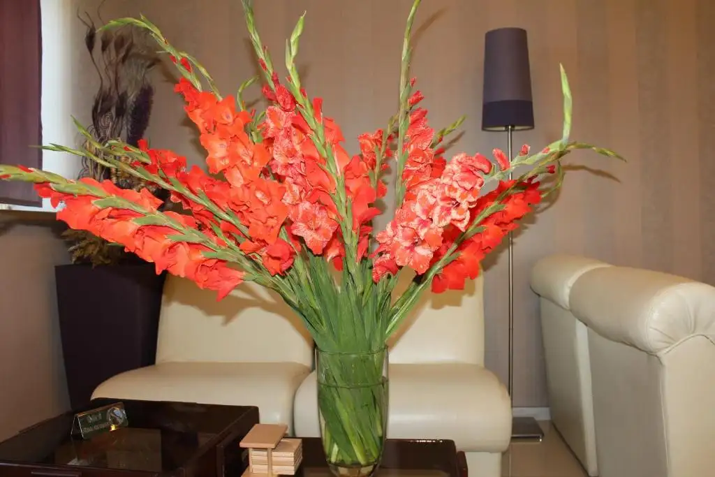 img_id_729814.webp