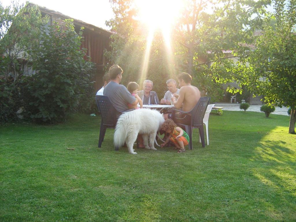 img_id_811341.jpg