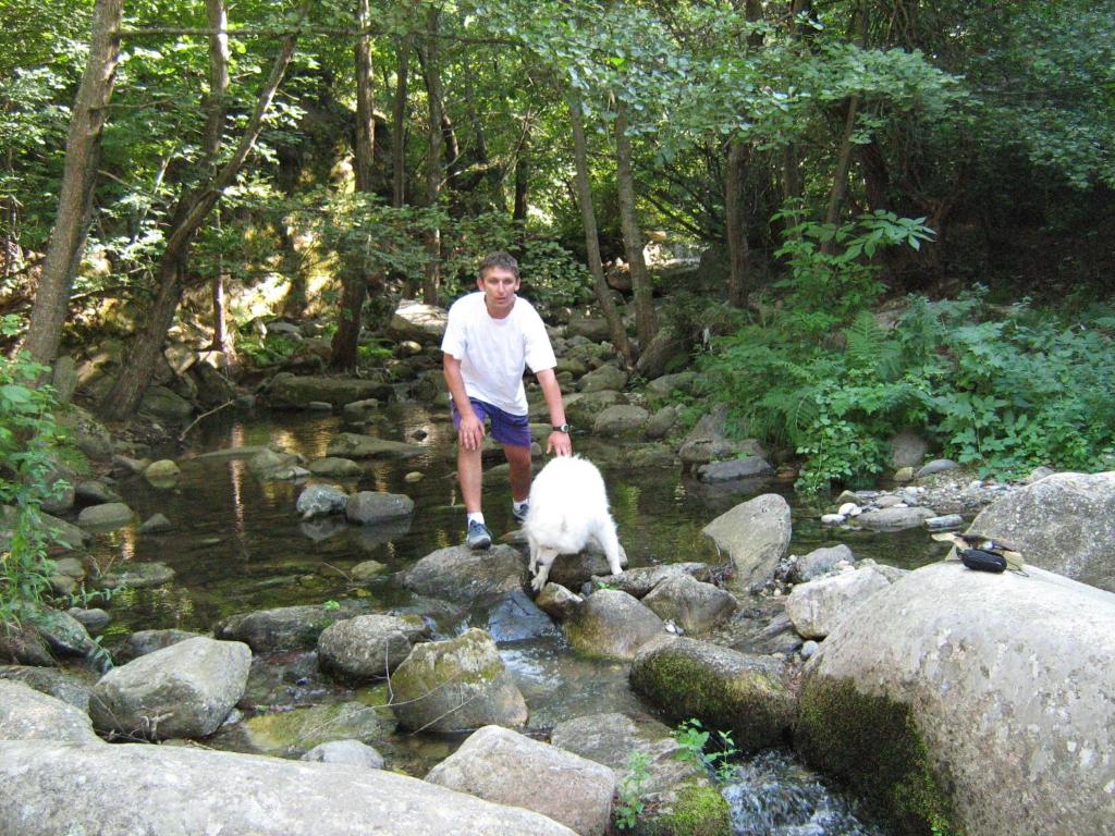 img_id_811344.jpg