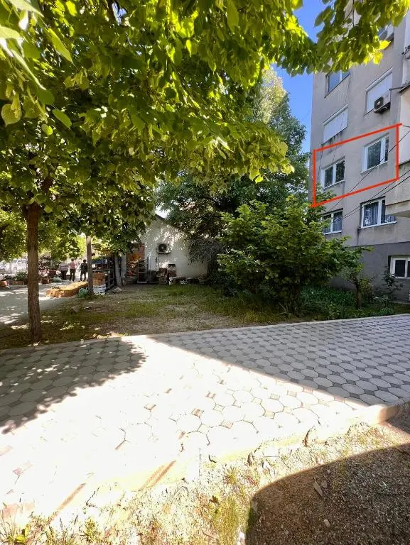 img_id_730207.webp