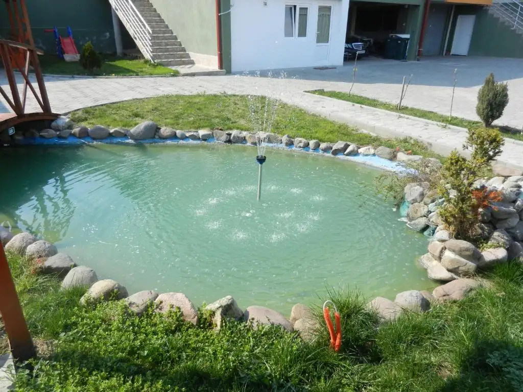 img_id_730291.webp