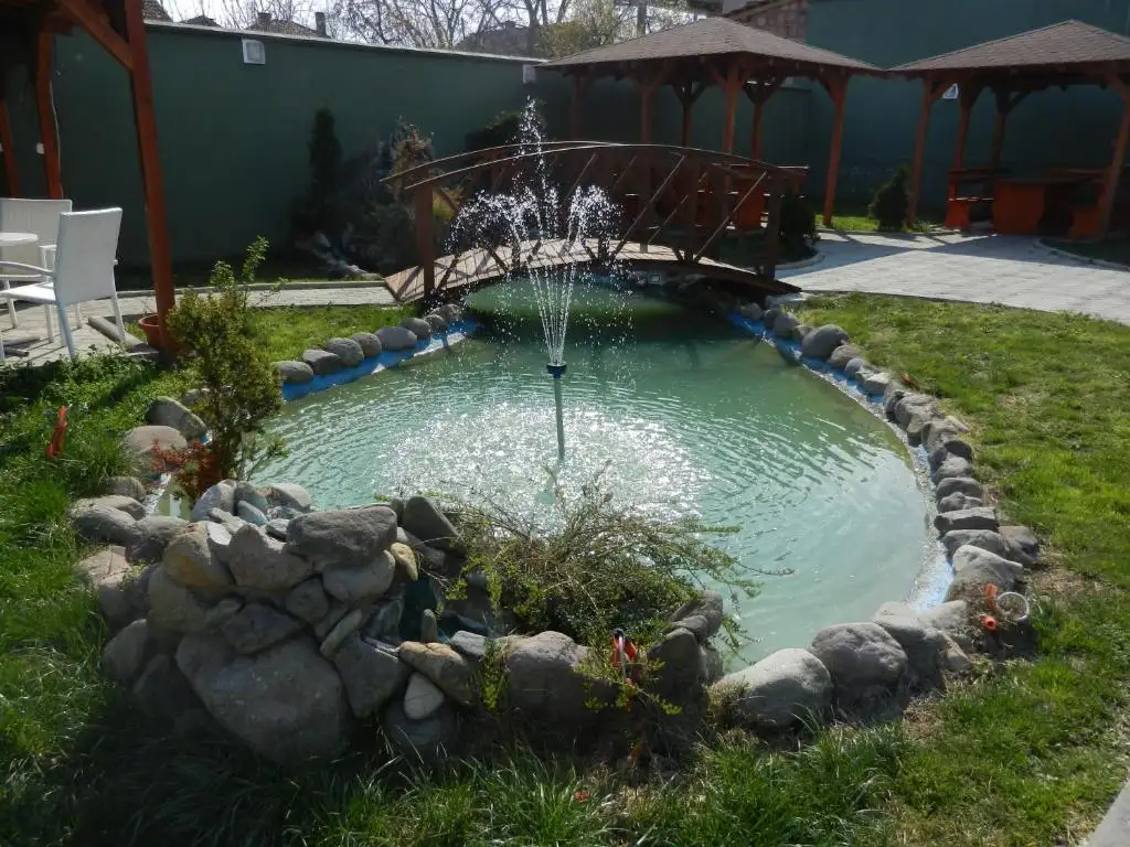 img_id_730299.webp