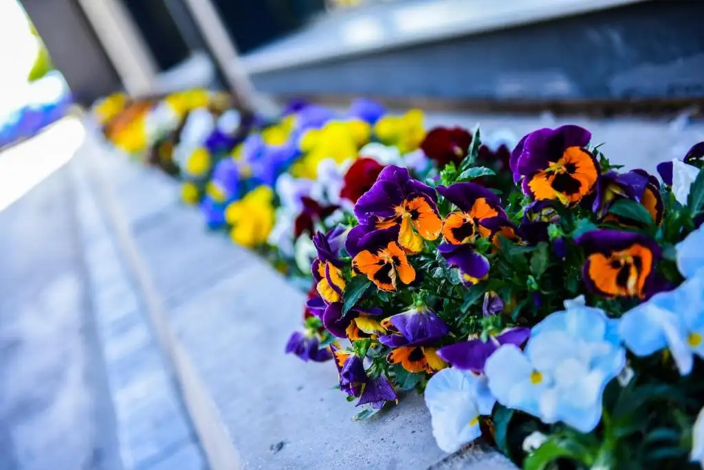 img_id_730975.webp