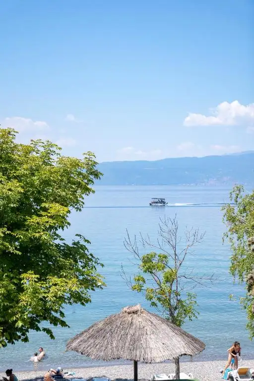 img_id_731279.webp