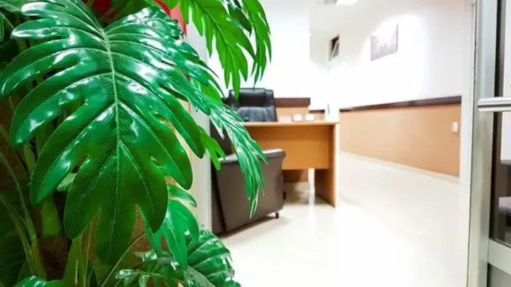 img_id_734100.webp