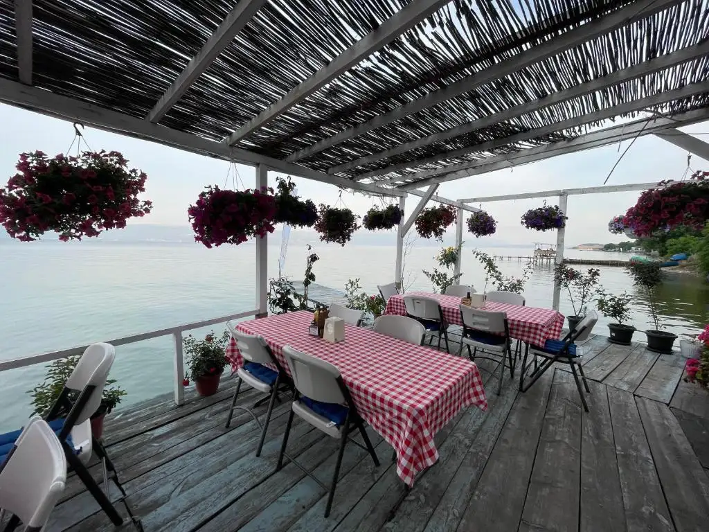 img_id_734306.webp