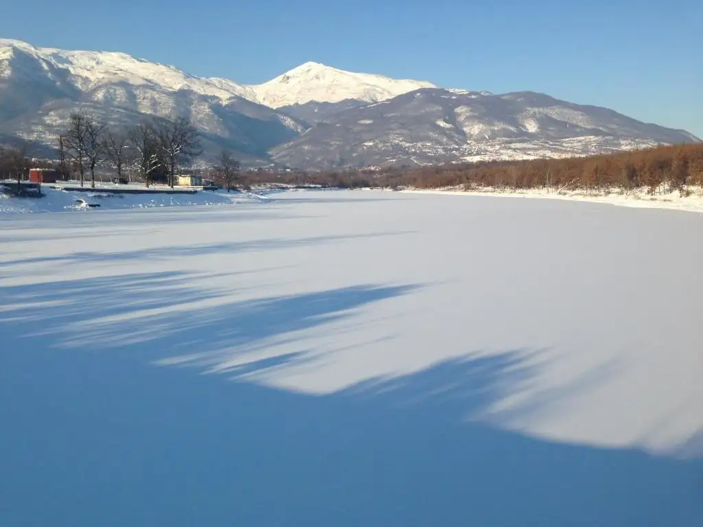 img_id_734396.webp