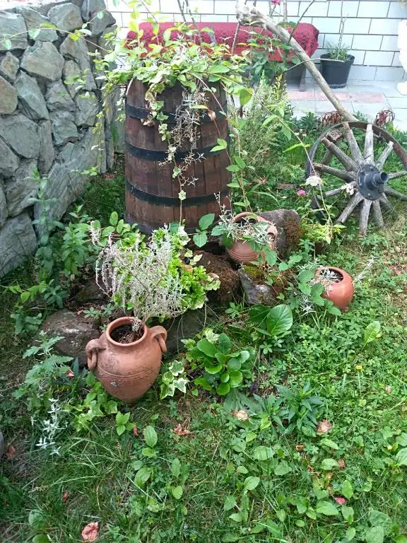 img_id_734492.webp