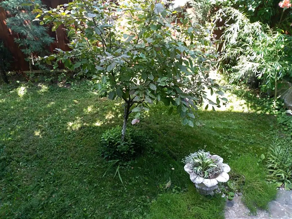 img_id_734498.webp