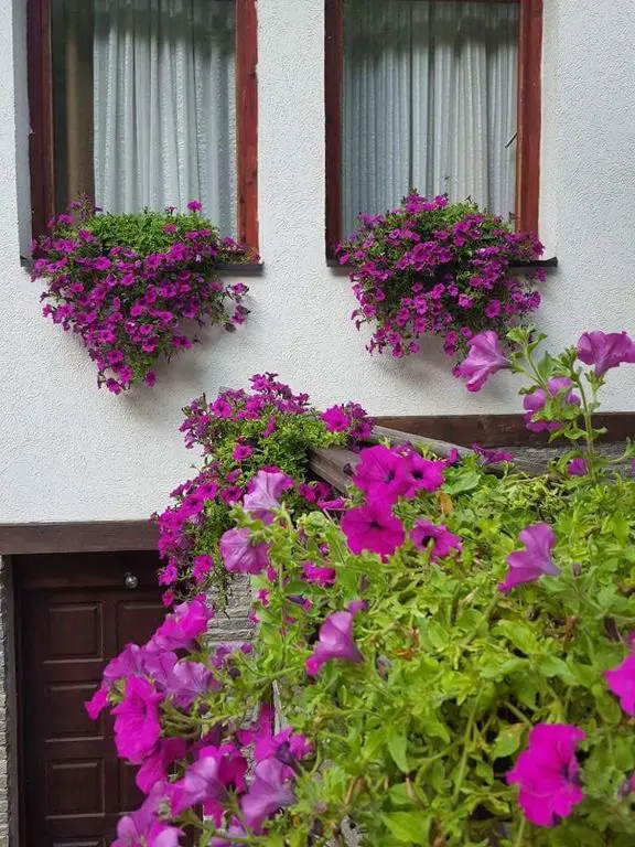 img_id_735892.webp