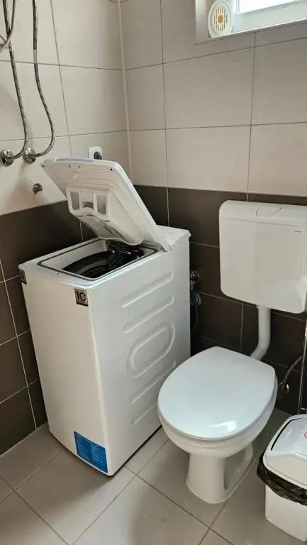 img_id_736242.webp