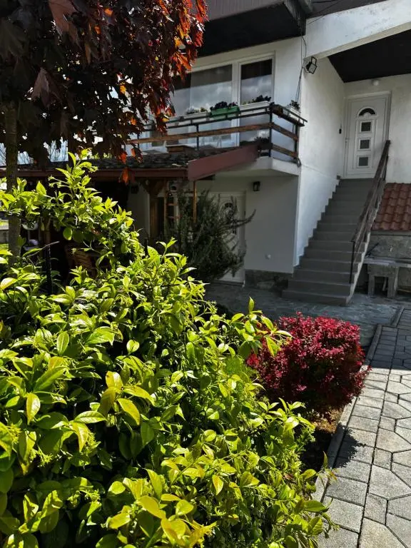 img_id_737482.webp