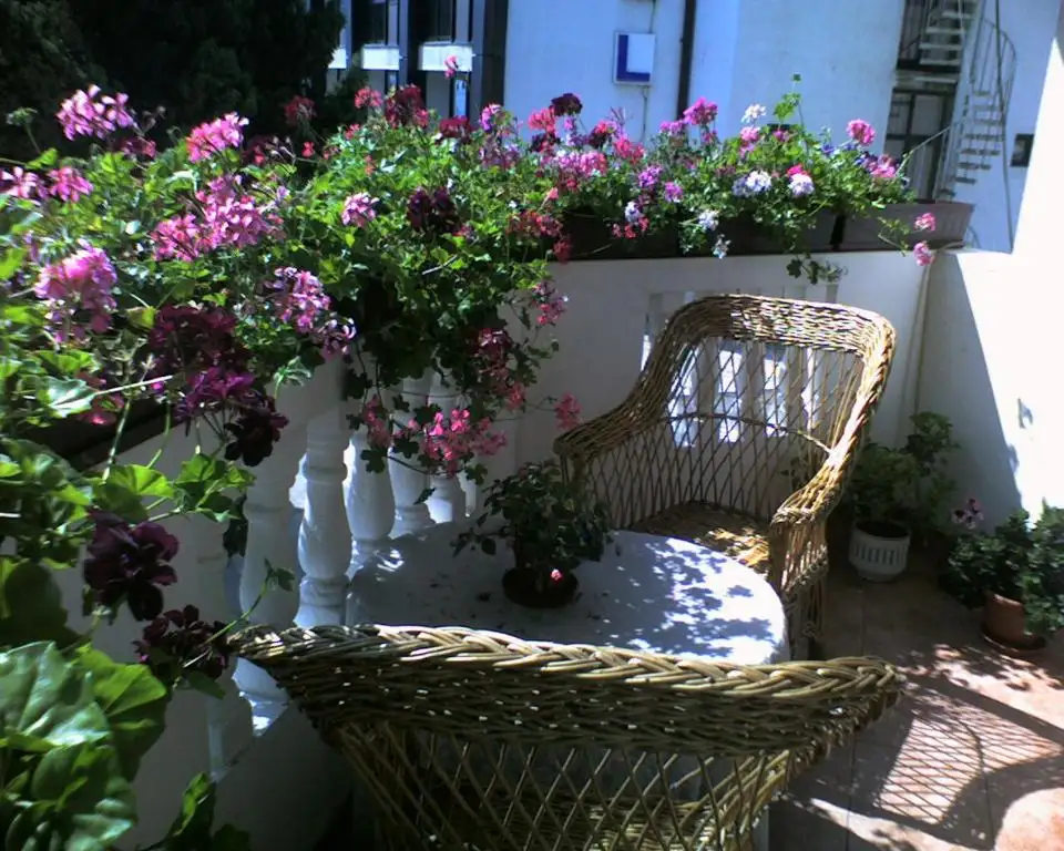img_id_738308.webp