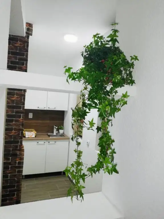 img_id_738728.webp