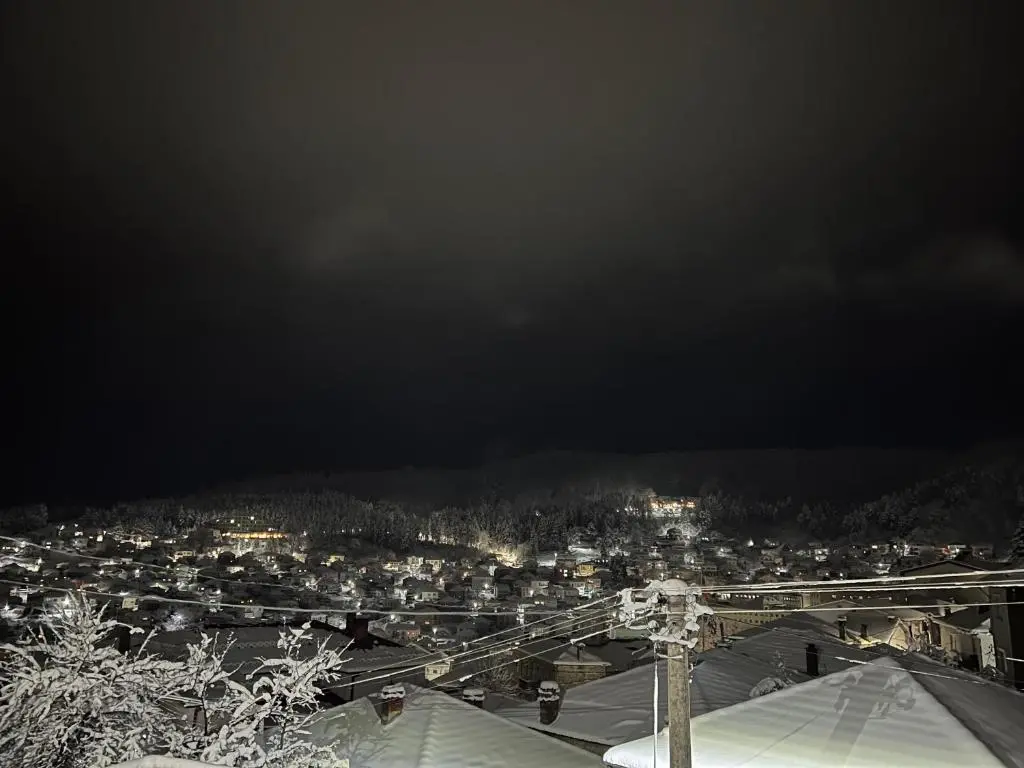 img_id_739034.webp