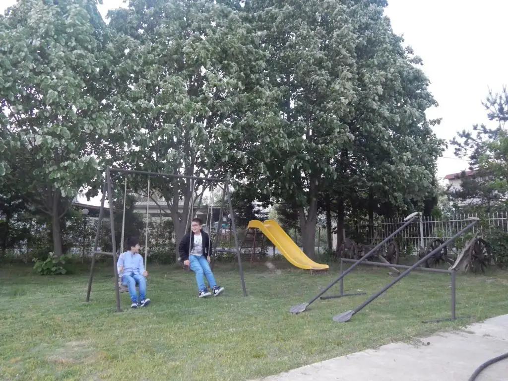 img_id_739383.webp