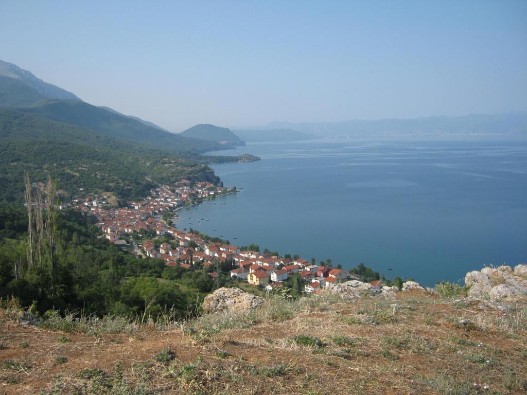 img_id_809548.jpg