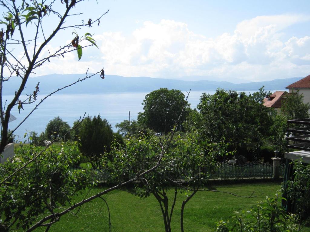 img_id_809566.jpg