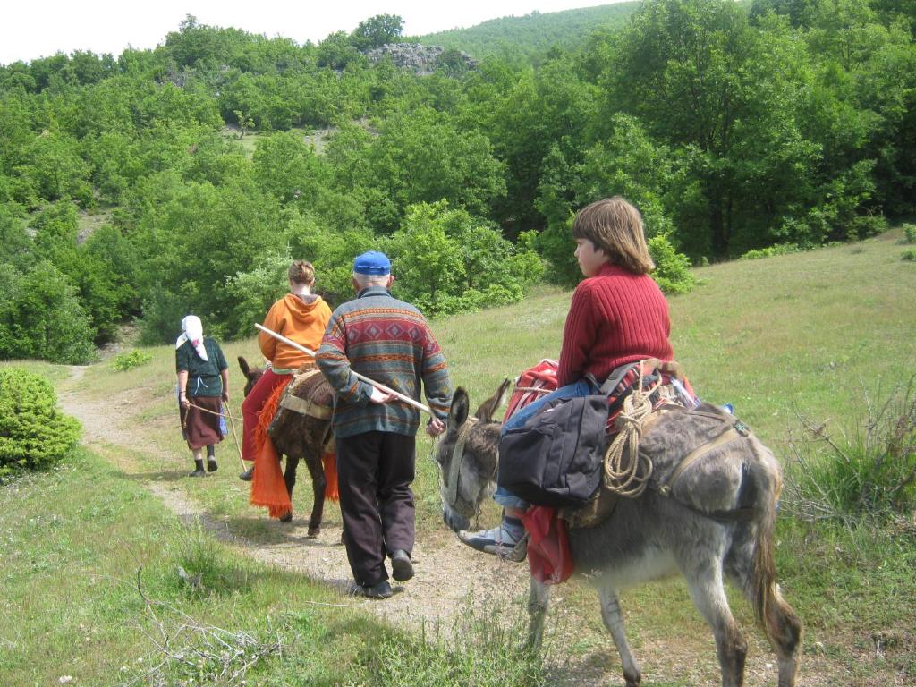 img_id_809571.jpg