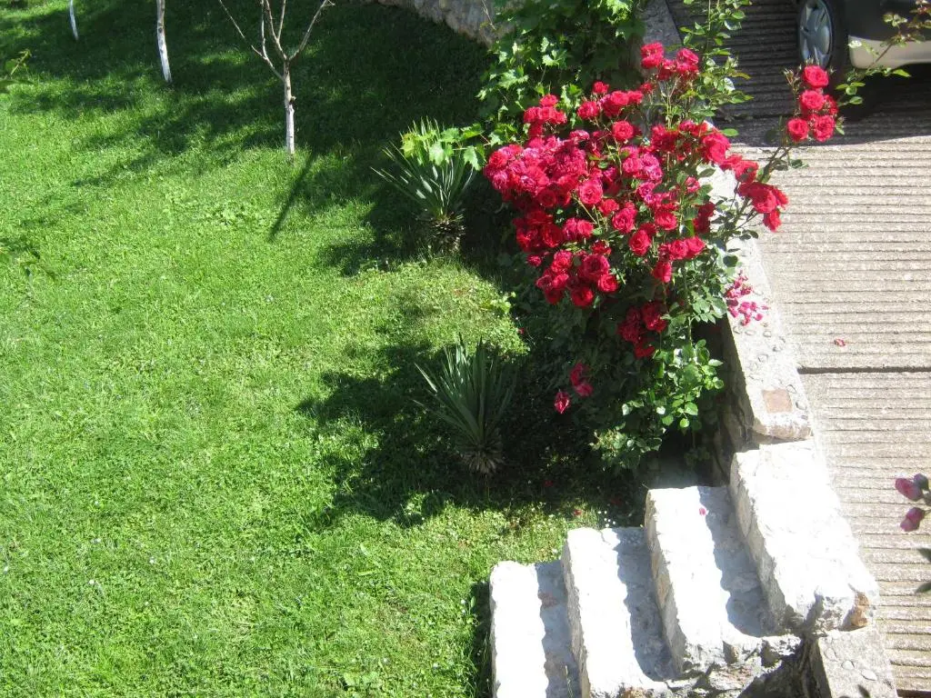 img_id_809605.webp