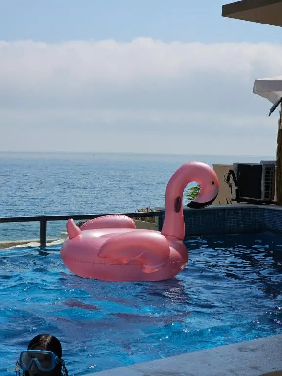 img_id_740186.webp
