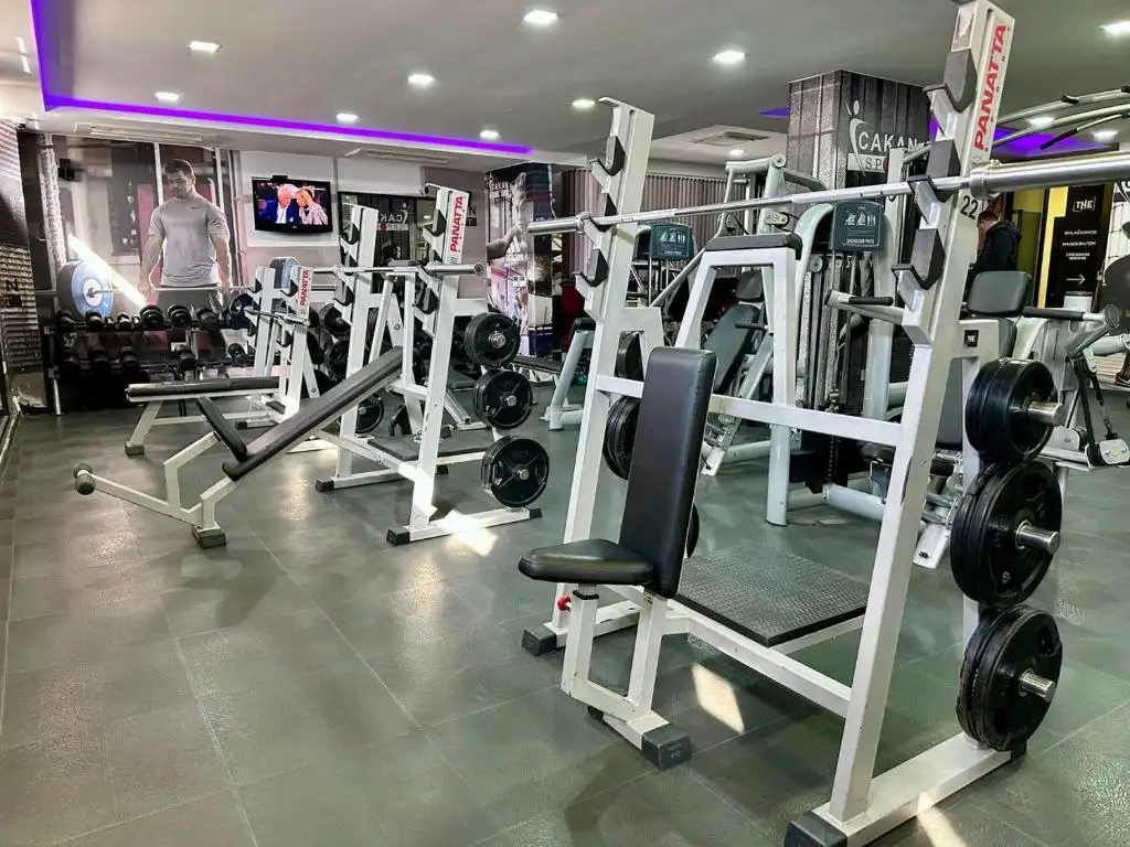 img_id_740656.webp