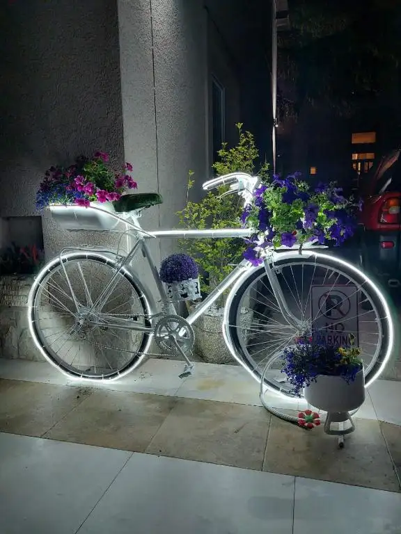 img_id_741715.webp