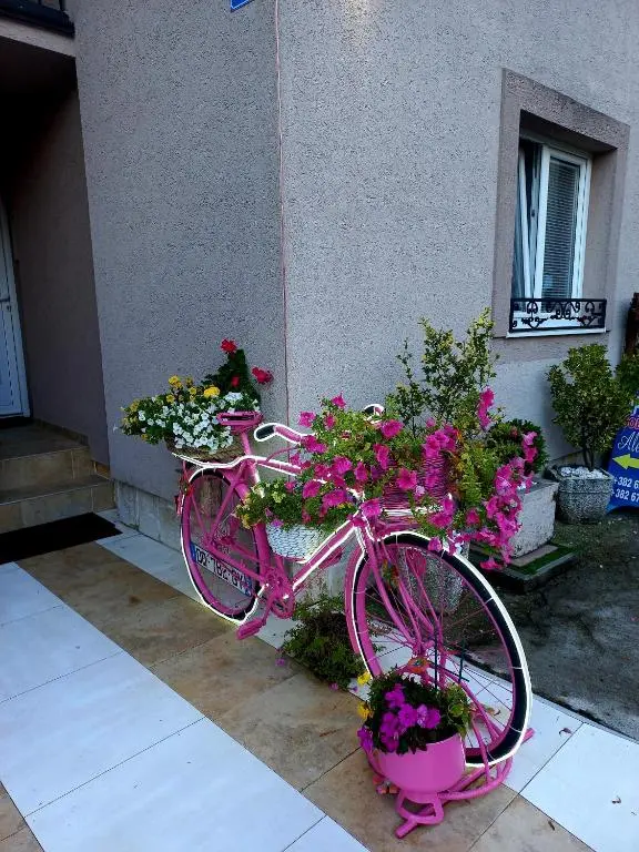 img_id_741777.webp