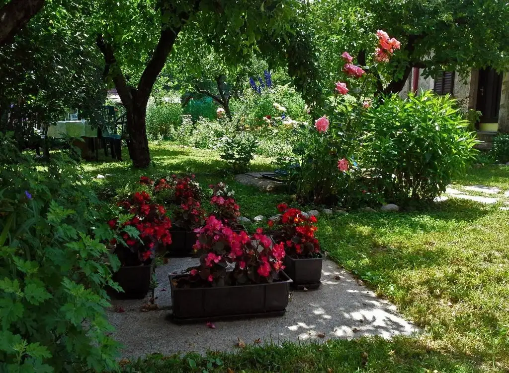 img_id_742059.webp
