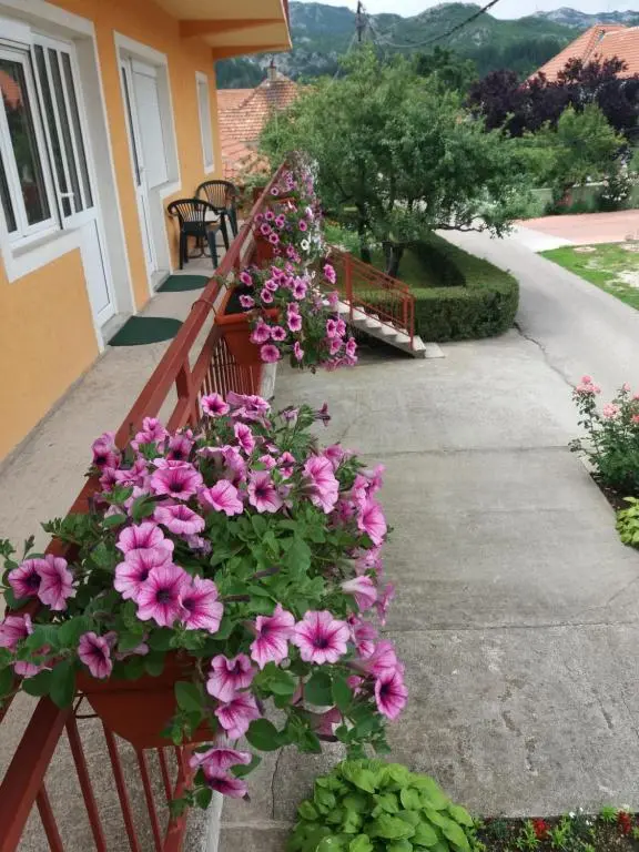 img_id_742492.webp