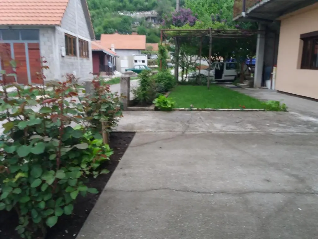 img_id_742539.webp