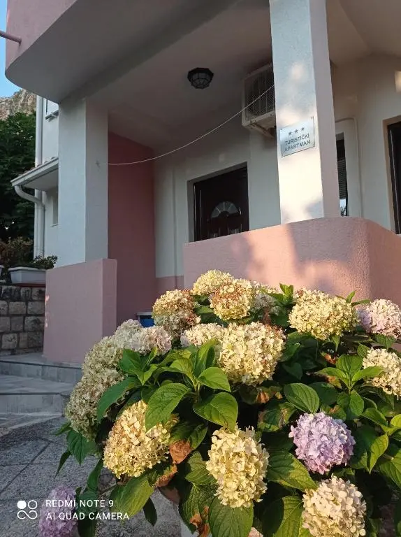 img_id_745576.webp
