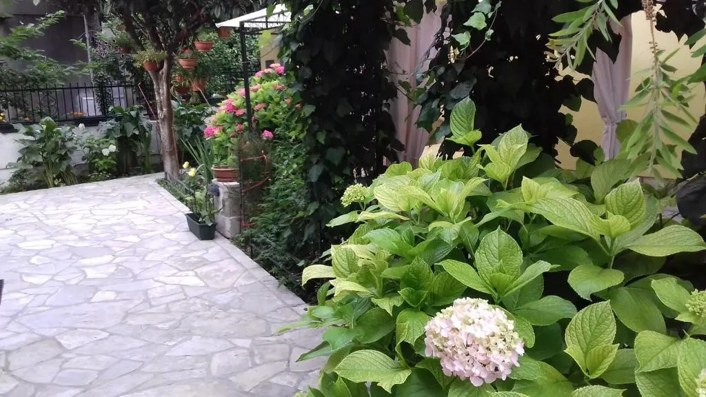 img_id_746182.webp