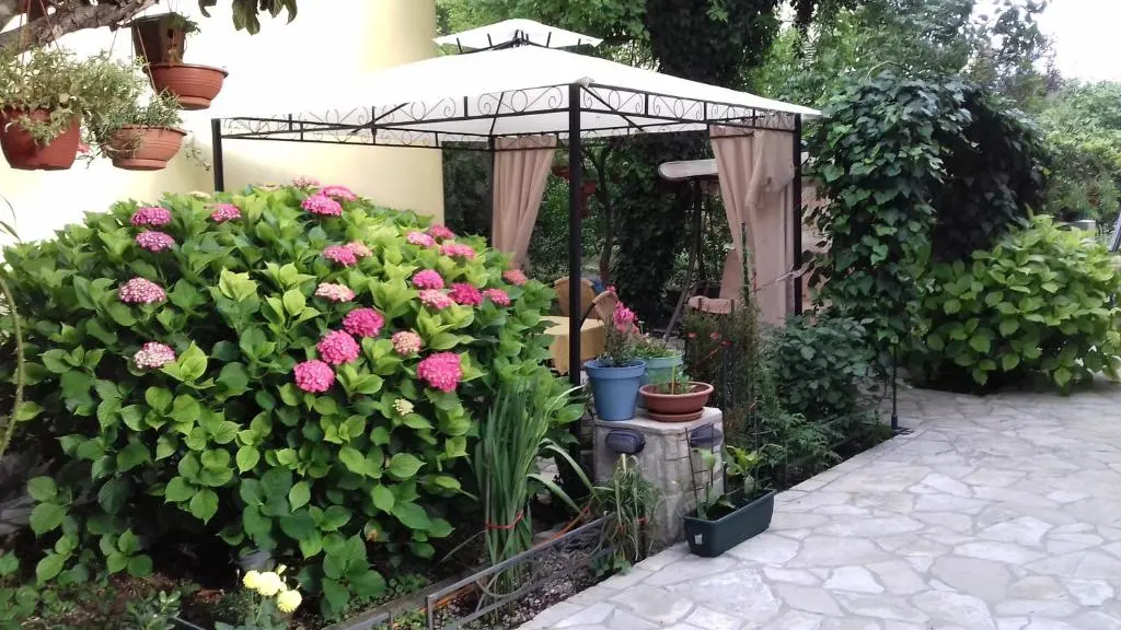img_id_746184.webp