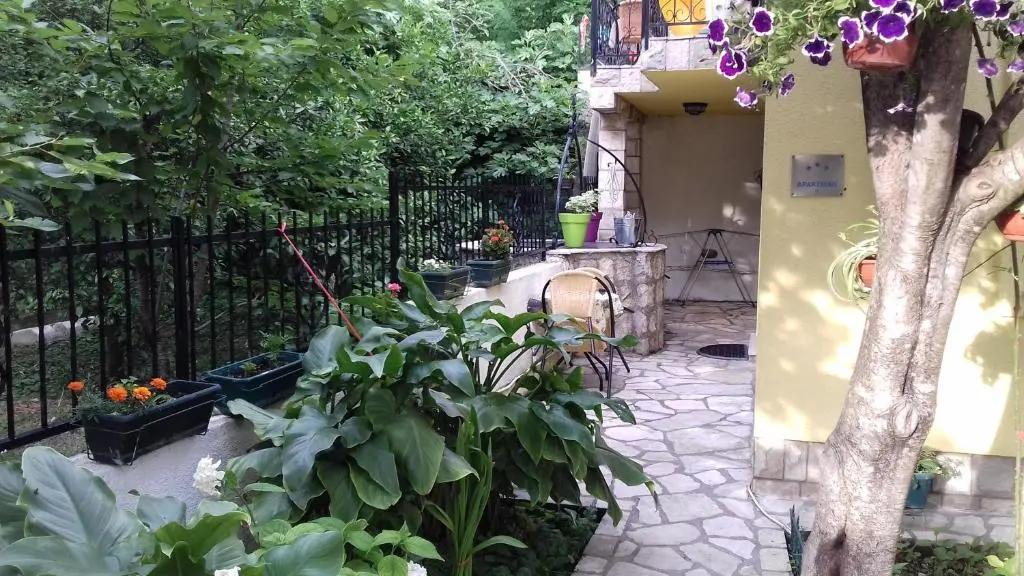 img_id_746185.webp